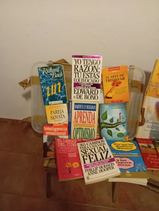 LOTE ,30 LIBROS autores buenos