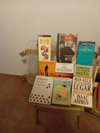 LOTE ,30 LIBROS autores buenos
