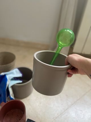 Kit variado de Jardinería para el hogar