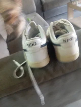 Zapatillas Nike Court Vision Beige/Blanco