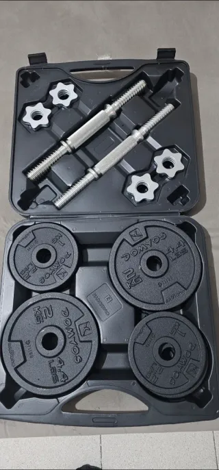 Juego Mancuernas Cromadas y Discos