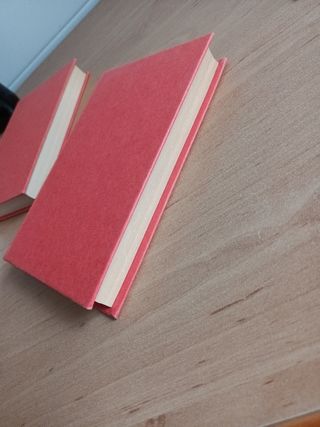 Las muchacha de las bragas de oro.