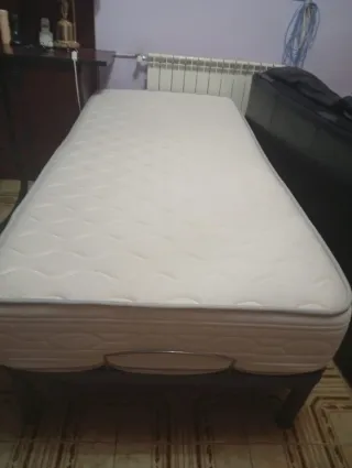 Cama articulada eléctrica