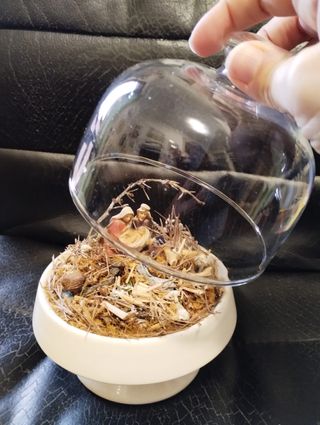 Presepe artistico in ceramica e vetro