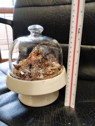 Presepe artistico in ceramica e vetro