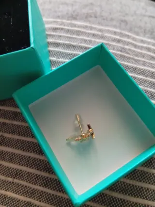 Pendientes estrella bañados en oro