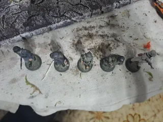 Soldatini Tedeschi Almiral Palo Piombo