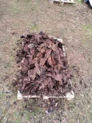 Cortezas de pino. Maceteros no incluidos. Belenes.