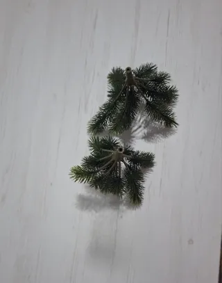 Piante grandi 18 cm.