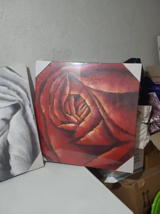 Set 2 quadri rose grigio e rosso