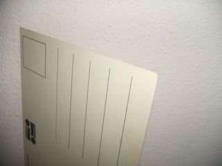 Regina Elisabetta - Ritratto