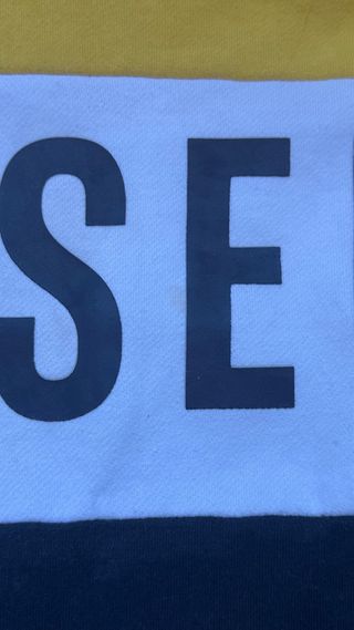 Sudadera Diesel bicolor