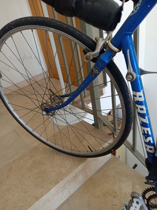 Bicicleta Clásica Razesa
