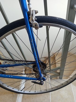 Bicicleta Clásica Razesa