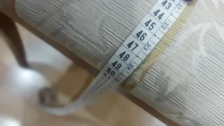 6 Sillas de Comedor Tapizadas Madera