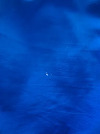 Mono Mango Azul Eléctrico