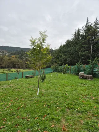 Finca rústica en A Lama