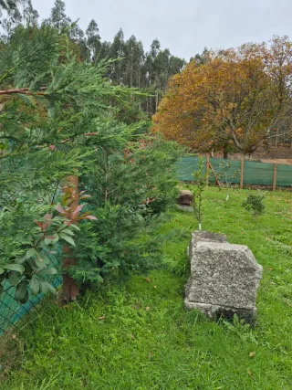 Finca rústica en A Lama