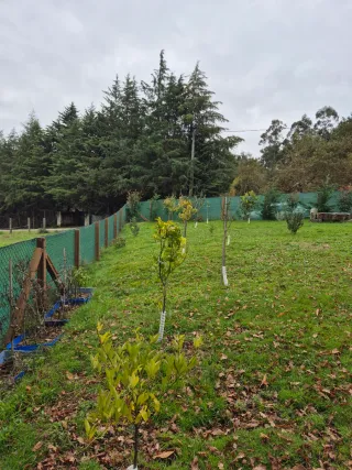 Finca rústica en A Lama