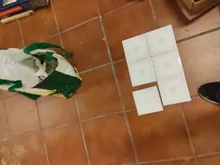 1000 Azulejos Decorativos 15x15