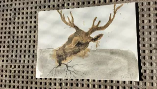 MIQUEL BARCELÓ. CABEZA Y RAÍZ.