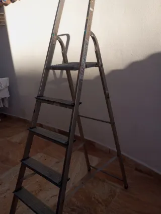 Escalera metálica doméstica de 6 peldaños