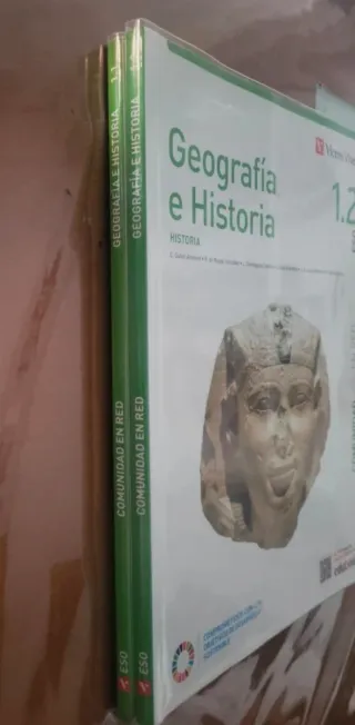 GEOGRAFIA E HISTORIA  1.2)(COMUNIDAD EN RED)