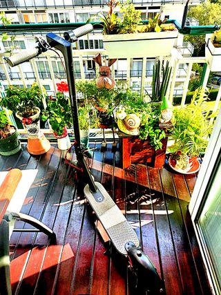 Patinete Eléctrico Xiaomi