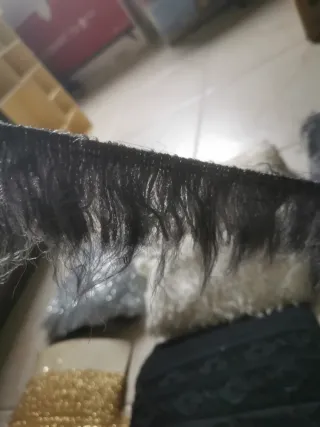 Tiras de flecos de encaje, y de plumas.