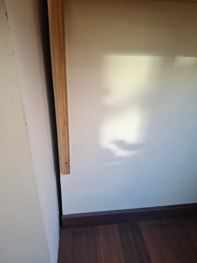 Escritorio y estanterías de bambú