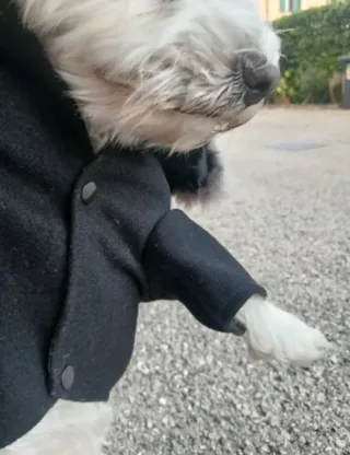 Cappottino cane taglia piccola