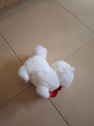 Gattino Trudi bianco con fiocco rosso