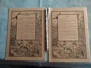 Cuadernos Vintage Oso y Jirafas + Lápiz