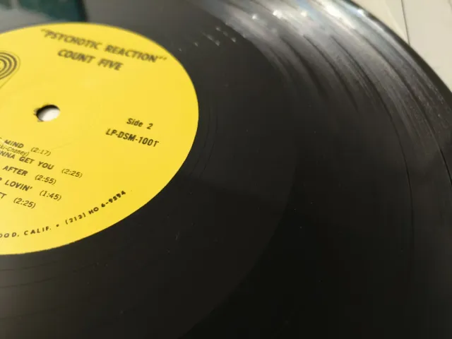 Count Five - Psychotic Reaction LP
