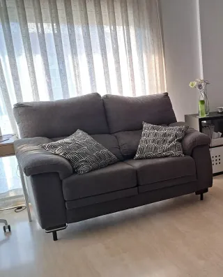 Sofá 2 plazas extraíble gris