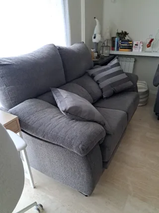 Sofá 2 plazas extraíble gris