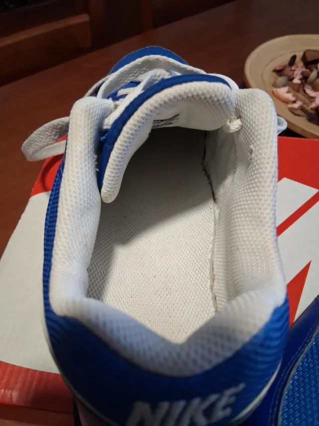 Zapatillas Nike Azules y Blancas