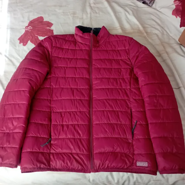 Cazadora Springfield acolchada hombre