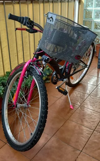 Bici BTwin Poply 500 24 Shimano