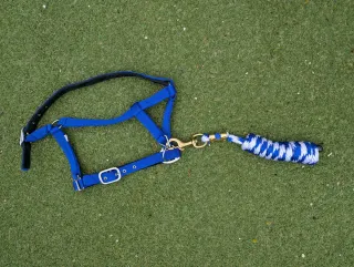 Arnés y cabestro azul y blanco