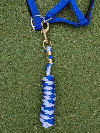 Arnés y cabestro azul y blanco