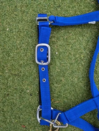 Arnés y cabestro azul y blanco