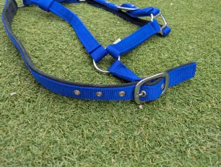 Arnés y cabestro azul y blanco