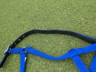 Arnés y cabestro azul y blanco