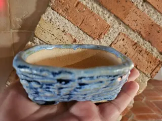 Maceta cerámica Kusamono/Bonsai