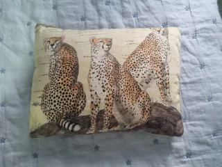 Funda Nórdica Infantil Safari