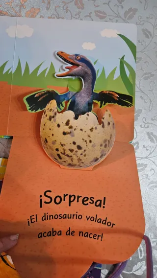 Los puzzles de colores de Lupe