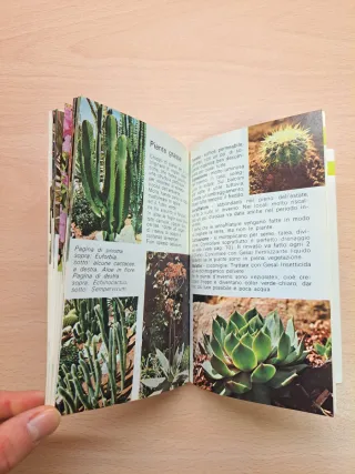 Libro vintage I segreti dei fiori