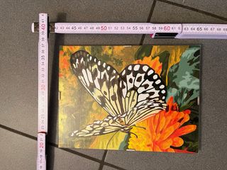 Pintura de mariposa sobre lienzo