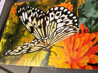Pintura de mariposa sobre lienzo